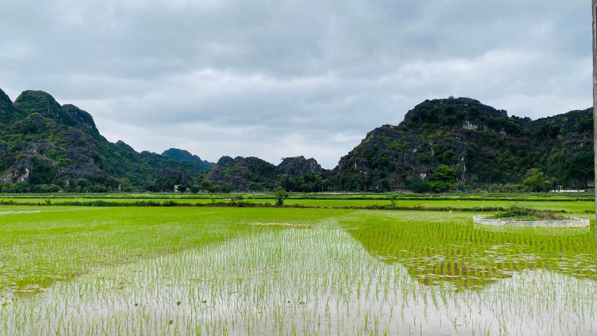 Ohayo Tam Coc Homestay Ninh Binh Buitenkant foto