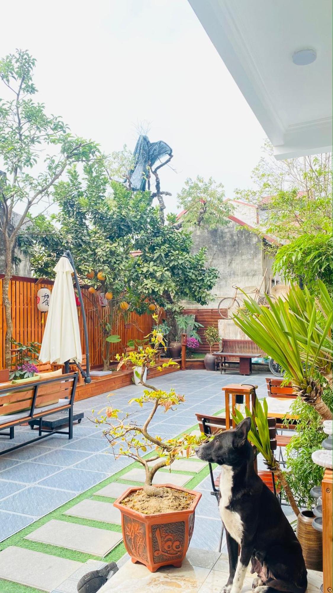 Ohayo Tam Coc Homestay Ninh Binh Buitenkant foto